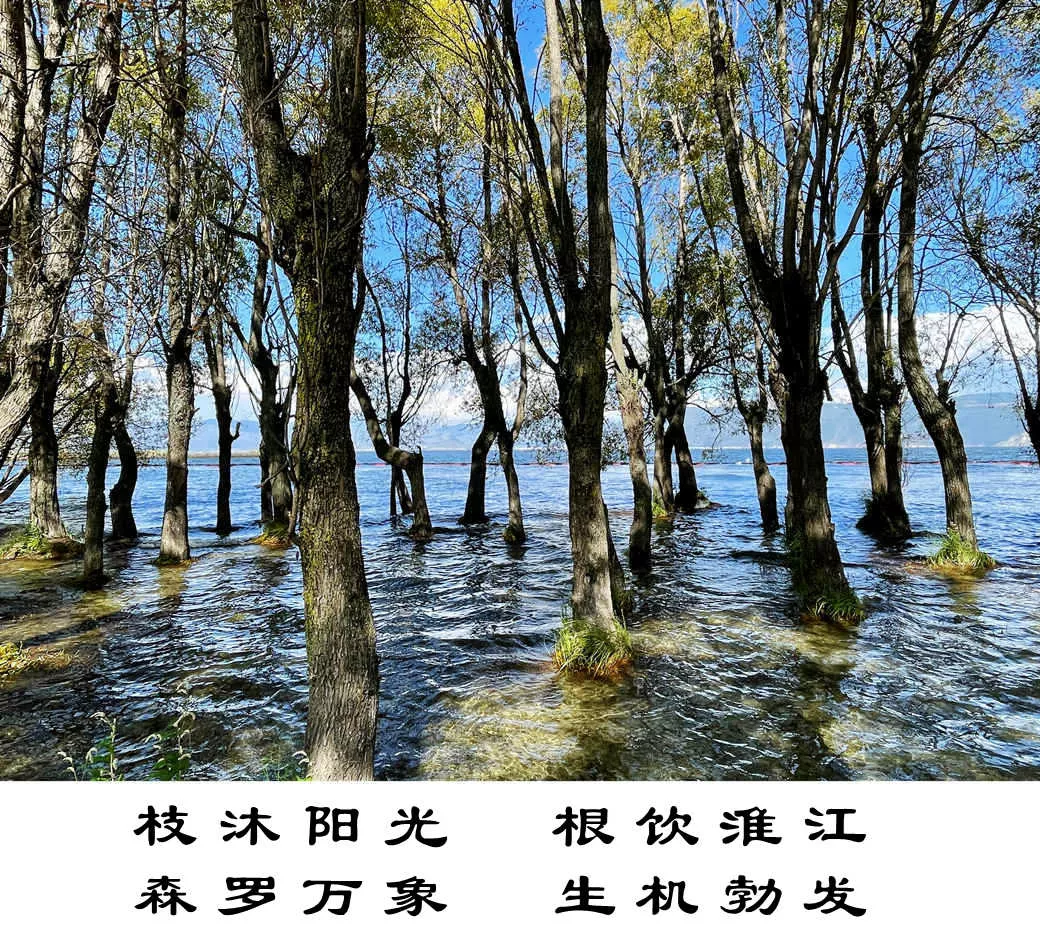 生機勃發