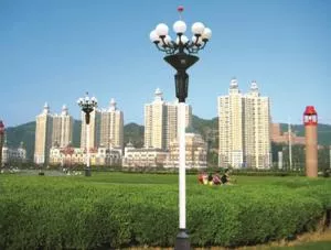 ZH-013